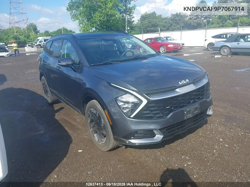 2023 Kia Sportage Ex VIN: KNDPVCAF9P7067914 Lot: 12637413