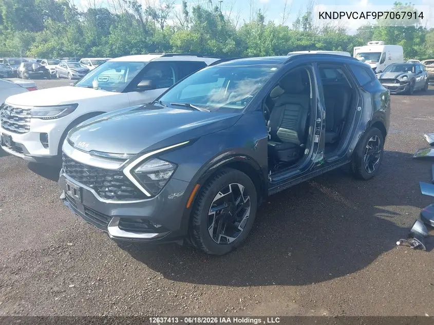 2023 Kia Sportage Ex VIN: KNDPVCAF9P7067914 Lot: 12637413