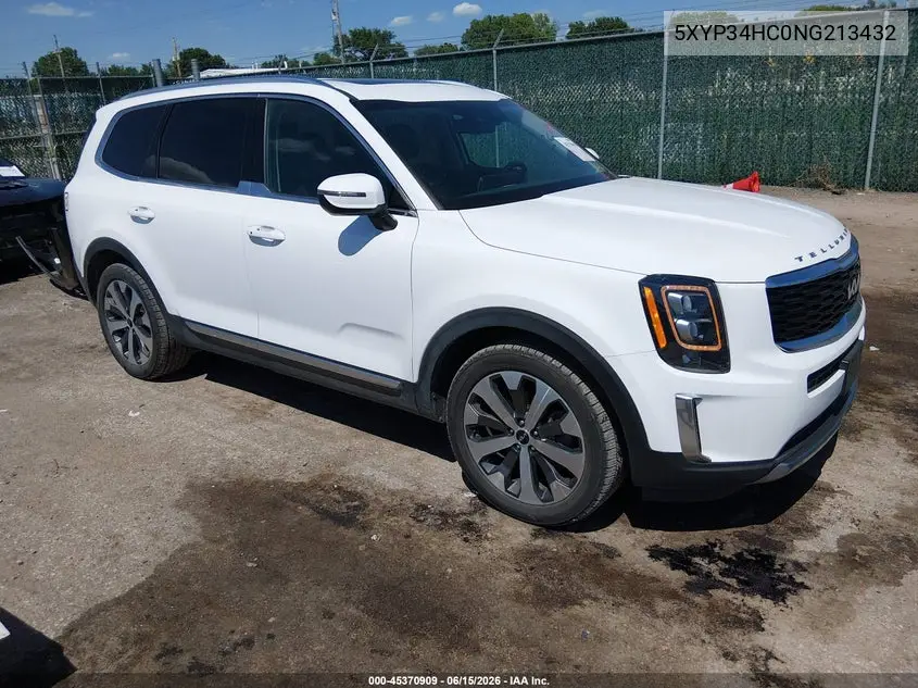 2022 Kia Telluride Ex VIN: 5XYP34HC0NG213432 Lot: 45370909