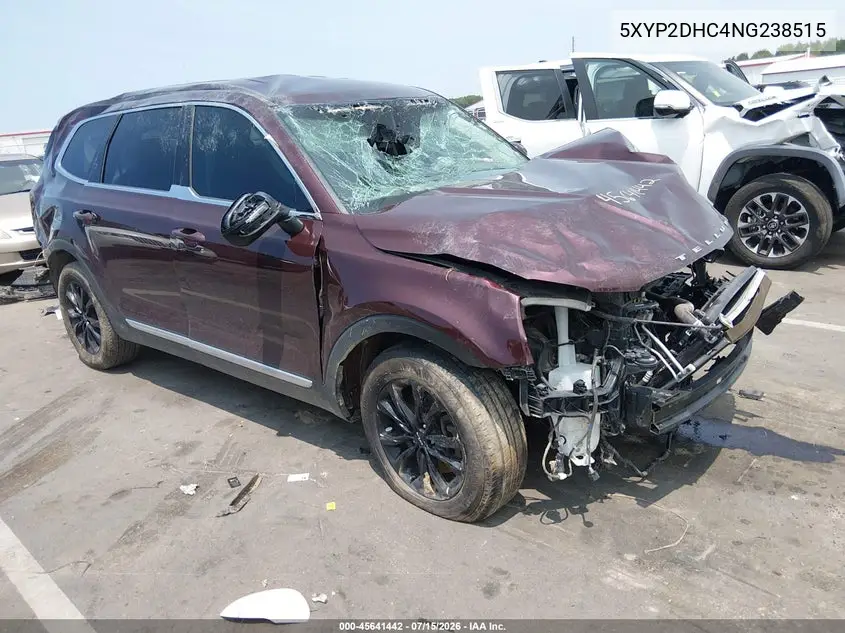 2022 Kia Telluride Lx VIN: 5XYP2DHC4NG238515 Lot: 45641442