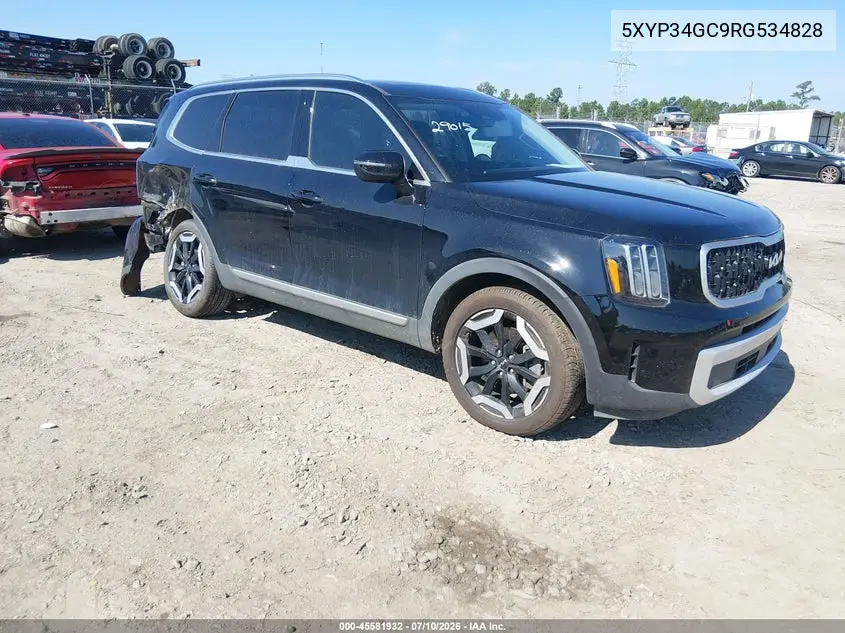 2024 Kia Telluride Ex VIN: 5XYP34GC9RG534828 Lot: 45581932