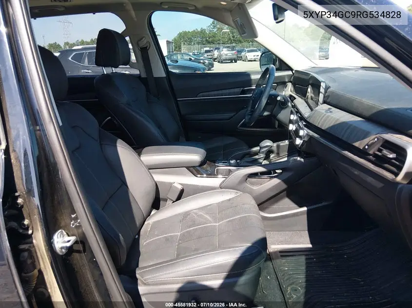 2024 Kia Telluride Ex VIN: 5XYP34GC9RG534828 Lot: 45581932