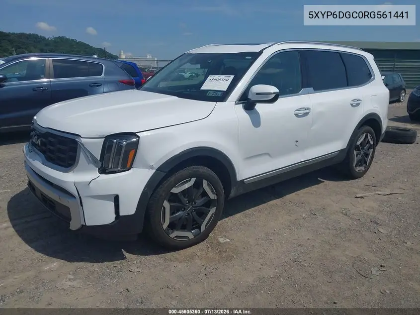 2024 Kia Telluride S VIN: 5XYP6DGC0RG561441 Lot: 45605360