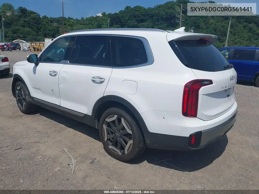 2024 Kia Telluride S VIN: 5XYP6DGC0RG561441 Lot: 45605360