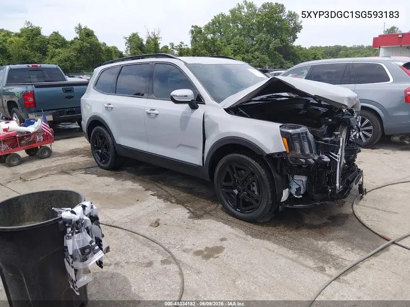 2025 Kia Telluride Ex X-Line VIN: 5XYP3DGC1SG593183 Lot: 45334182