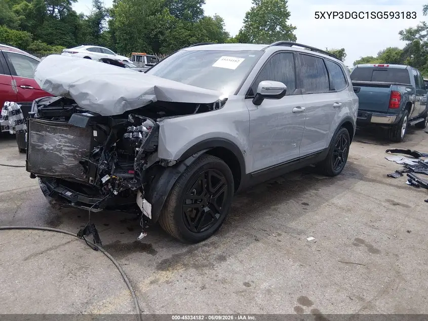 2025 Kia Telluride Ex X-Line VIN: 5XYP3DGC1SG593183 Lot: 45334182