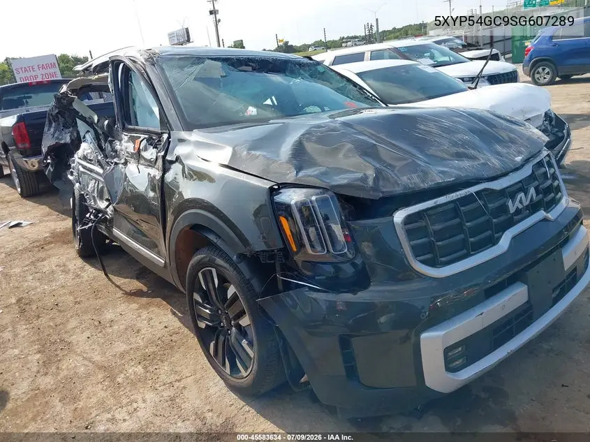 2025 Kia Telluride Sx VIN: 5XYP54GC9SG607289 Lot: 45583634