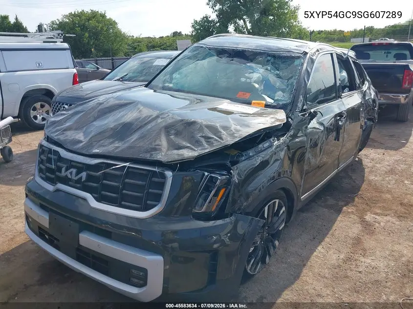 2025 Kia Telluride Sx VIN: 5XYP54GC9SG607289 Lot: 45583634