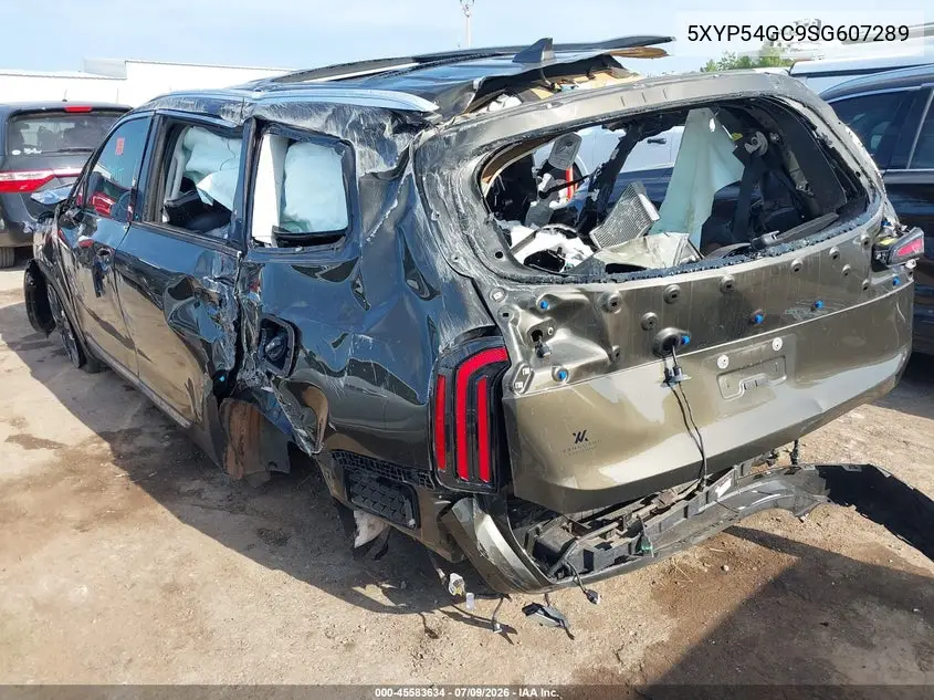 2025 Kia Telluride Sx VIN: 5XYP54GC9SG607289 Lot: 45583634