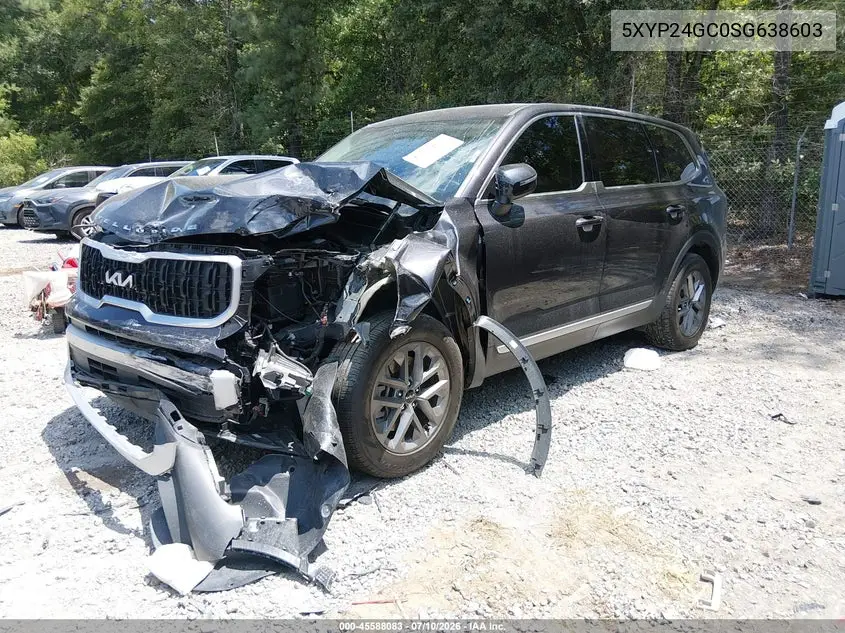 2025 Kia Telluride Lx VIN: 5XYP24GC0SG638603 Lot: 45588083