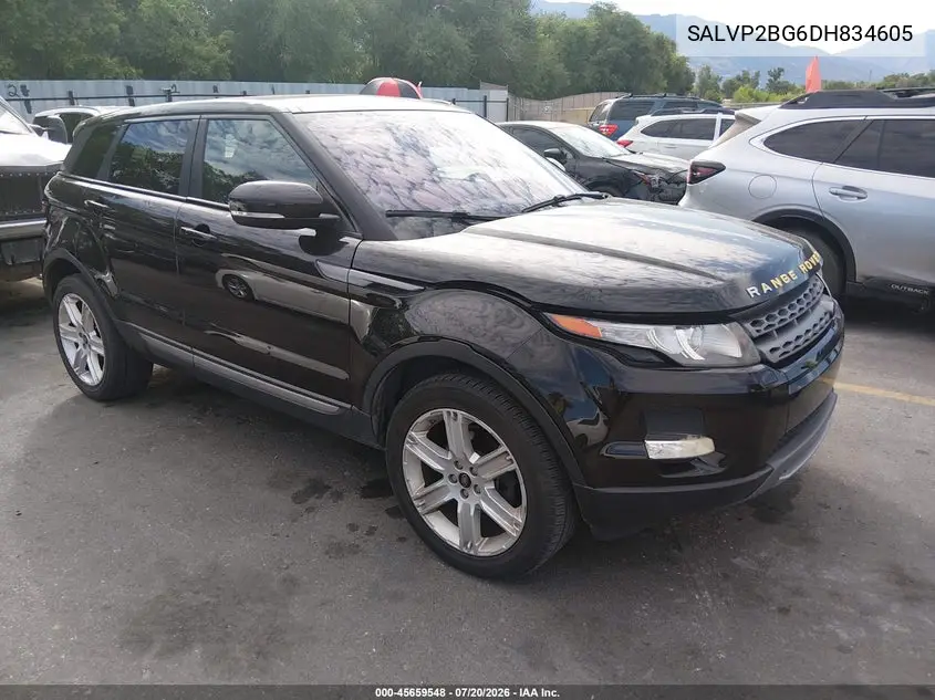 2013 Land Rover Range Rover Evoque Pure VIN: SALVP2BG6DH834605 Lot: 45659548