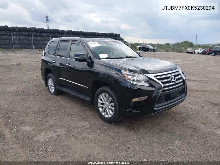 2019 Lexus Gx 460 Premium VIN: JTJBM7FX0K5230294 Lot: 45412493