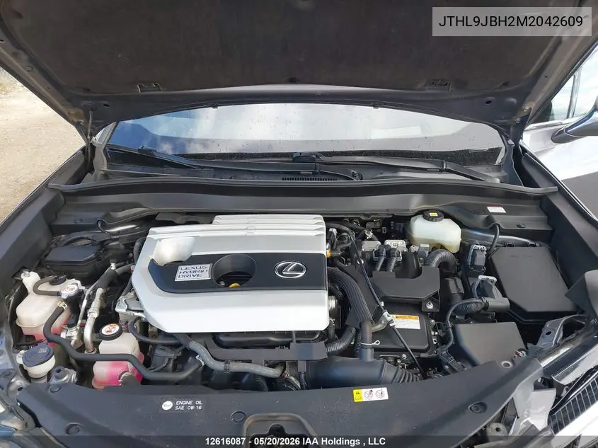 2021 Lexus Ux 250H VIN: JTHL9JBH2M2042609 Lot: 12616087