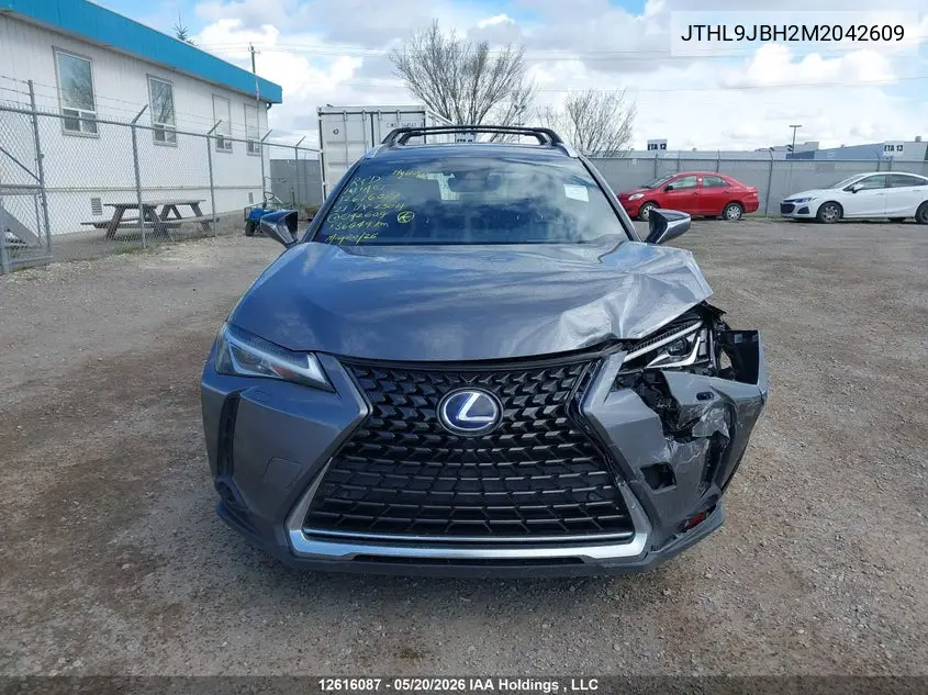 2021 Lexus Ux 250H VIN: JTHL9JBH2M2042609 Lot: 12616087