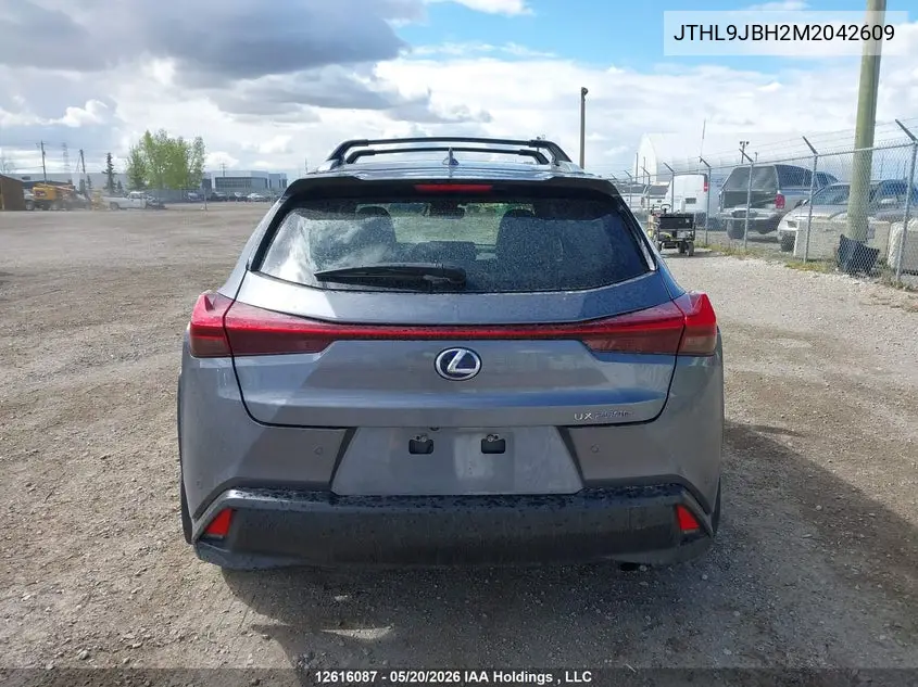 2021 Lexus Ux 250H VIN: JTHL9JBH2M2042609 Lot: 12616087