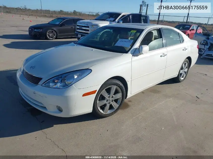 JTHBA30G665175559 2006 Lexus Es 330