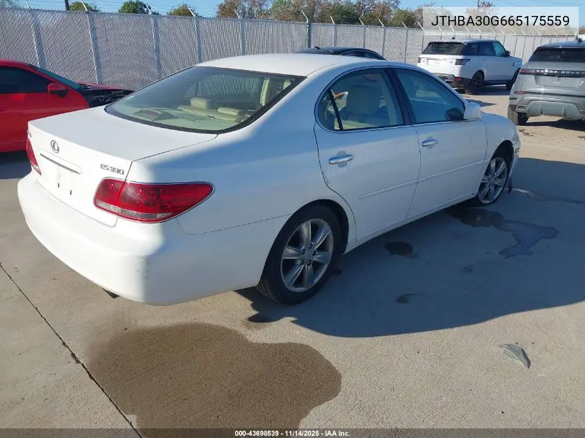 JTHBA30G665175559 2006 Lexus Es 330
