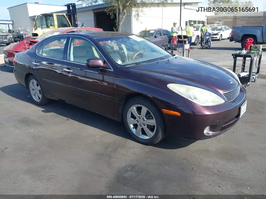 2006 Lexus Es 330 VIN: JTHBA30G065165691 Lot: 45655693