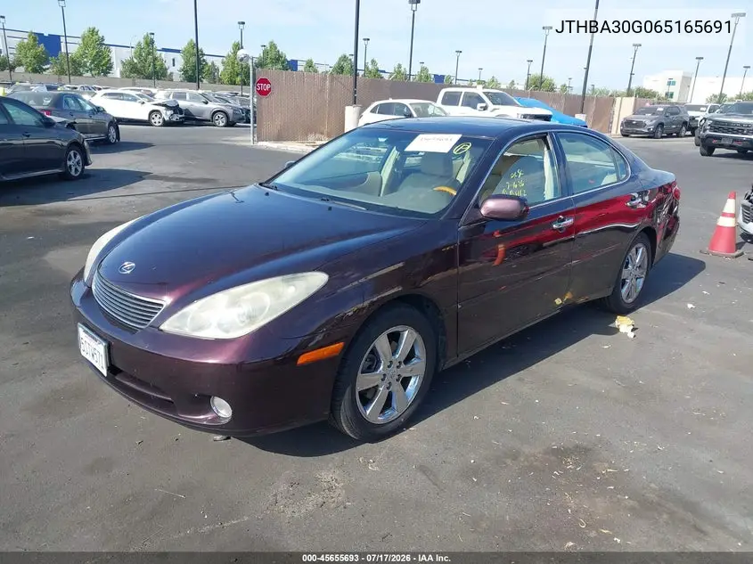 2006 Lexus Es 330 VIN: JTHBA30G065165691 Lot: 45655693