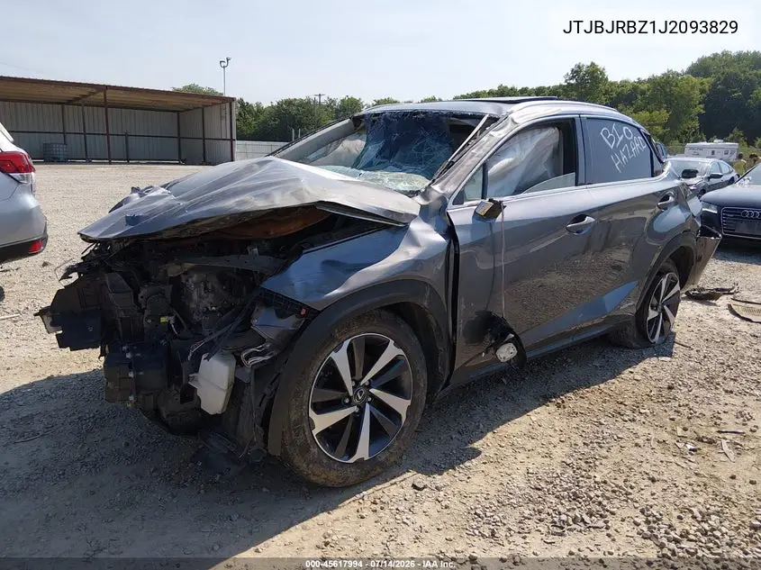 2018 Lexus Nx 300H VIN: JTJBJRBZ1J2093829 Lot: 45617994