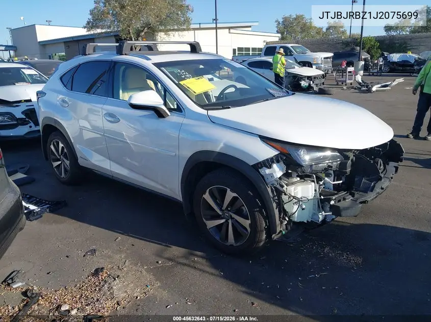 2018 Lexus Nx 300H VIN: JTJBJRBZ1J2075699 Lot: 45632643