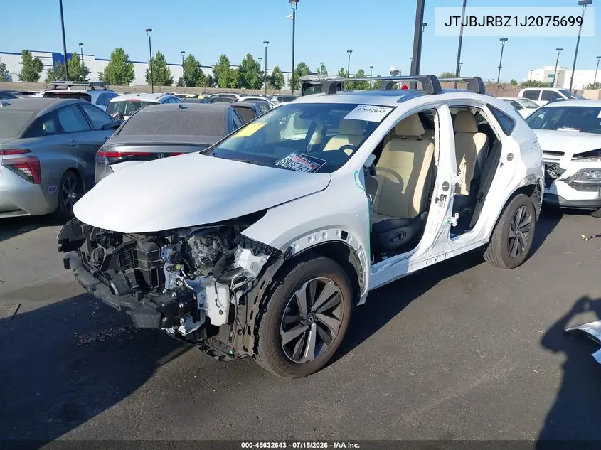 2018 Lexus Nx 300H VIN: JTJBJRBZ1J2075699 Lot: 45632643