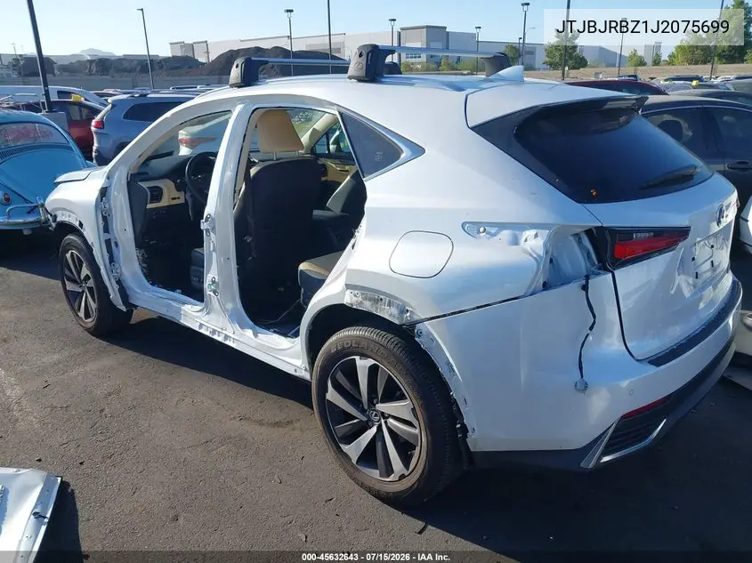2018 Lexus Nx 300H VIN: JTJBJRBZ1J2075699 Lot: 45632643