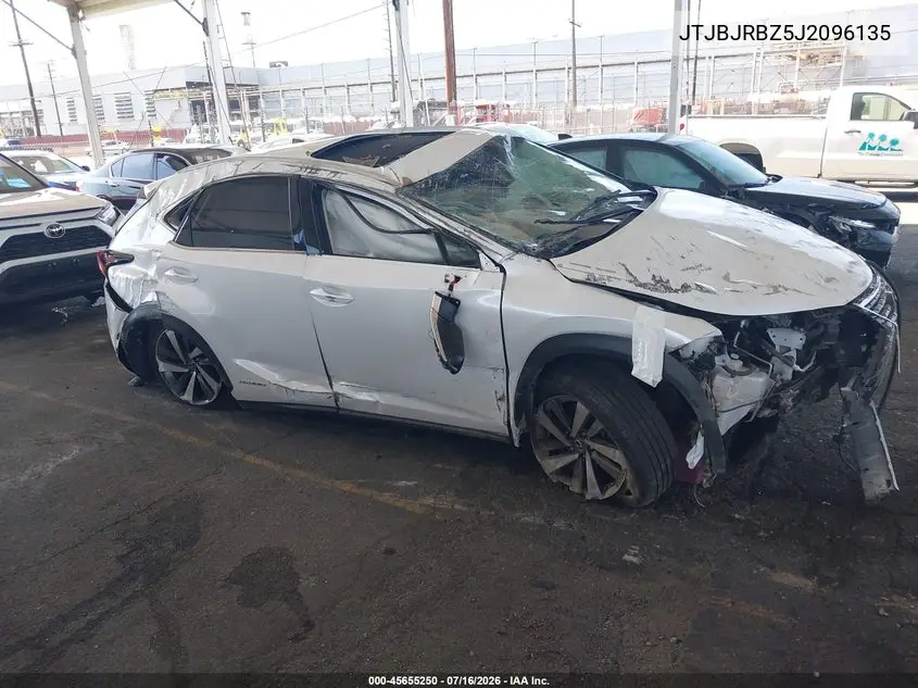 2018 Lexus Nx 300H VIN: JTJBJRBZ5J2096135 Lot: 45655250