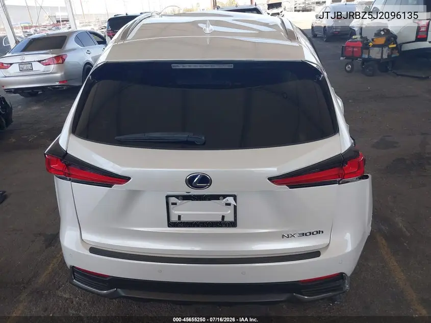 2018 Lexus Nx 300H VIN: JTJBJRBZ5J2096135 Lot: 45655250