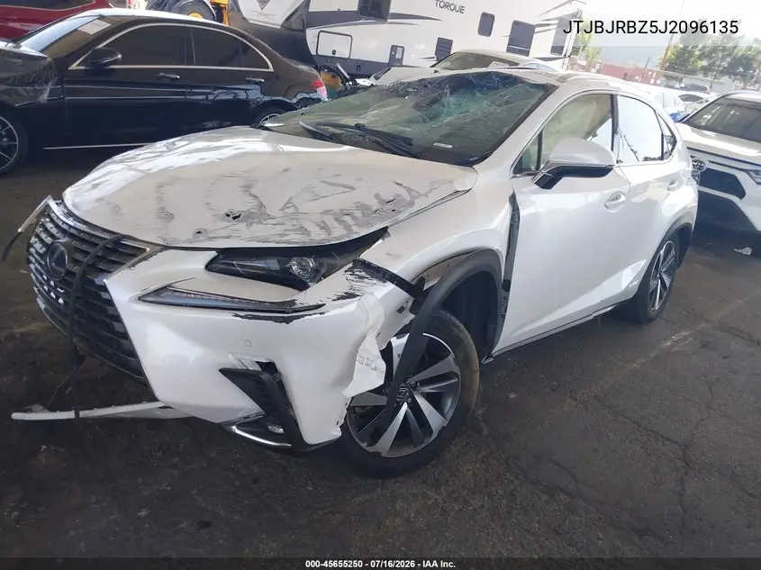 2018 Lexus Nx 300H VIN: JTJBJRBZ5J2096135 Lot: 45655250