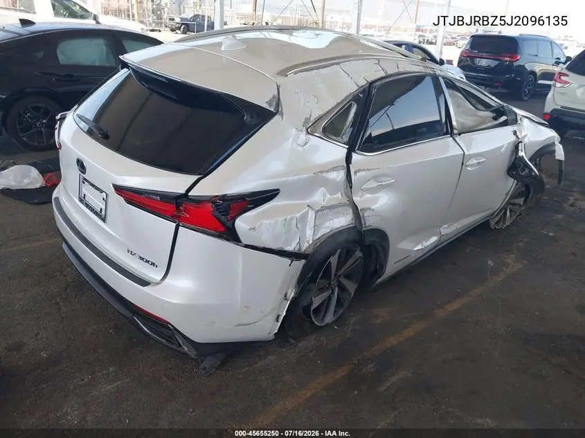 2018 Lexus Nx 300H VIN: JTJBJRBZ5J2096135 Lot: 45655250