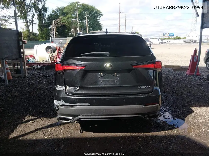 2019 Lexus Nx 300 VIN: JTJBARBZ9K2210994 Lot: 45579706