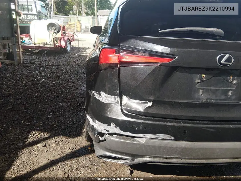 2019 Lexus Nx 300 VIN: JTJBARBZ9K2210994 Lot: 45579706