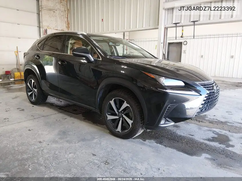 2020 Lexus Nx 300 VIN: JTJGARDZ7L2223392 Lot: 45462946