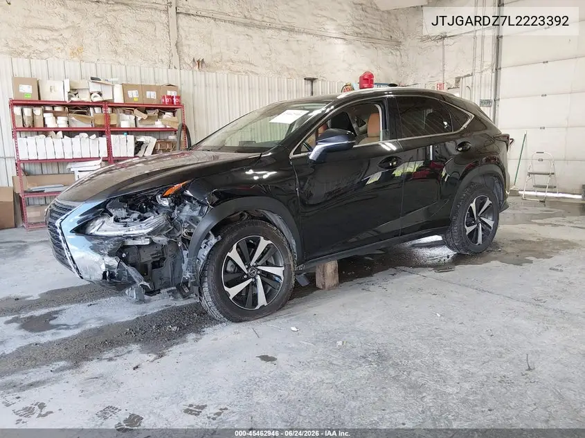 2020 Lexus Nx 300 VIN: JTJGARDZ7L2223392 Lot: 45462946