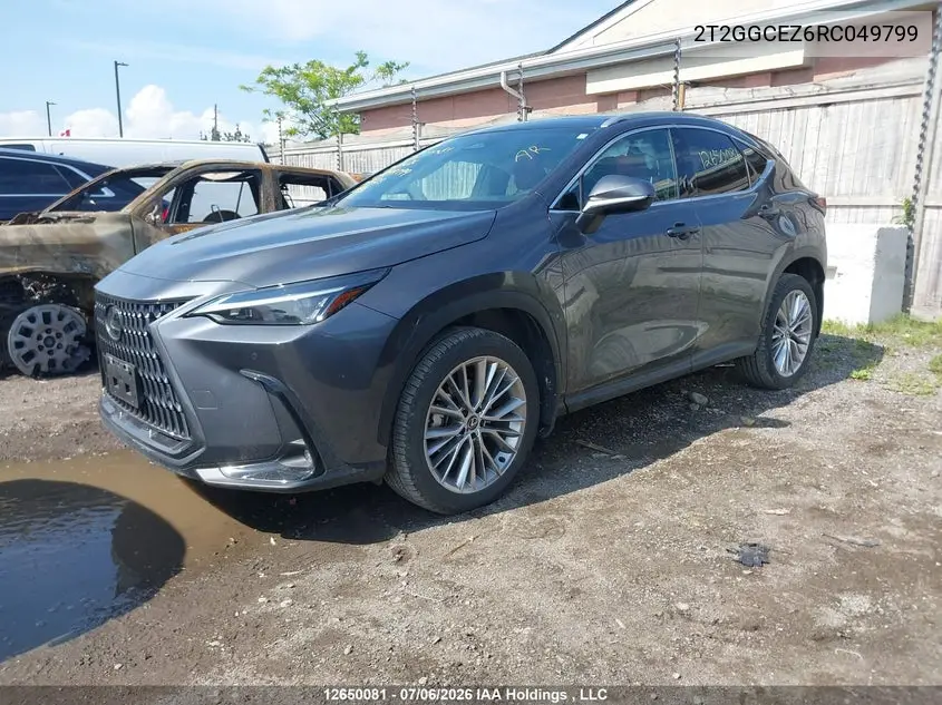 2024 Lexus Nx 350 VIN: 2T2GGCEZ6RC049799 Lot: 12650081