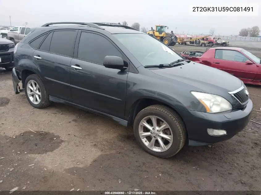 2T2GK31U59C081491 2009 Lexus Rx 350