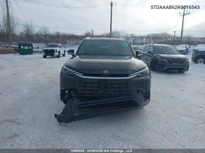 2024 Lexus Tx 350 Base/350 Premium/350 Luxury VIN: 5TDAAAB62RS016543 Lot: 12480035
