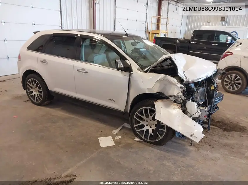 2009 Lincoln Mkx VIN: 2LMDU88C99BJ01004 Lot: 45445159