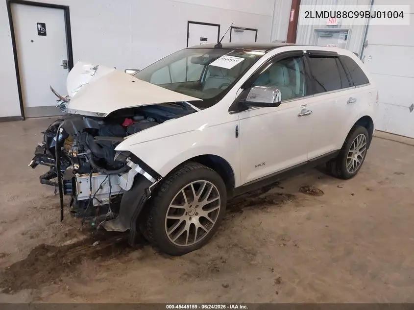 2009 Lincoln Mkx VIN: 2LMDU88C99BJ01004 Lot: 45445159