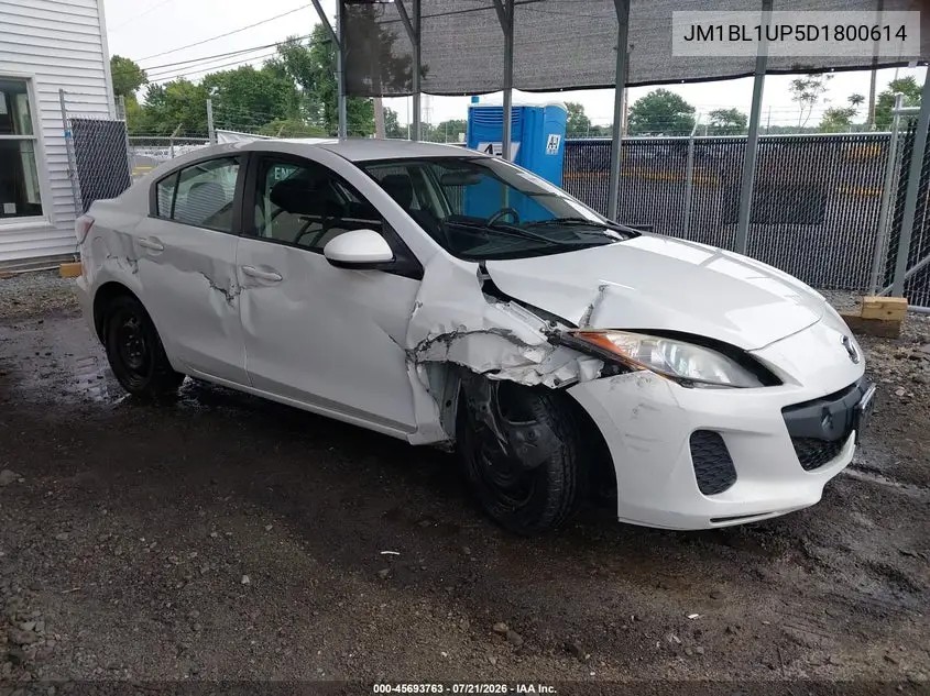 2013 Mazda Mazda3 I Sport VIN: JM1BL1UP5D1800614 Lot: 45693763