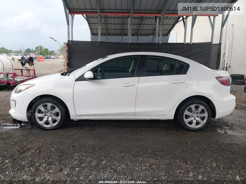 2013 Mazda Mazda3 I Sport VIN: JM1BL1UP5D1800614 Lot: 45693763