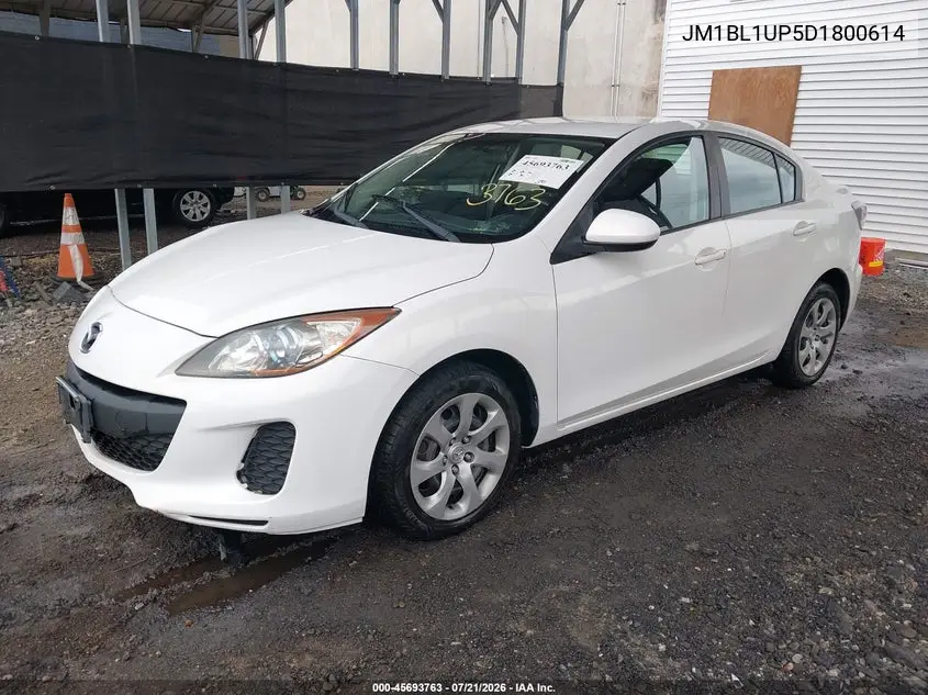 2013 Mazda Mazda3 I Sport VIN: JM1BL1UP5D1800614 Lot: 45693763