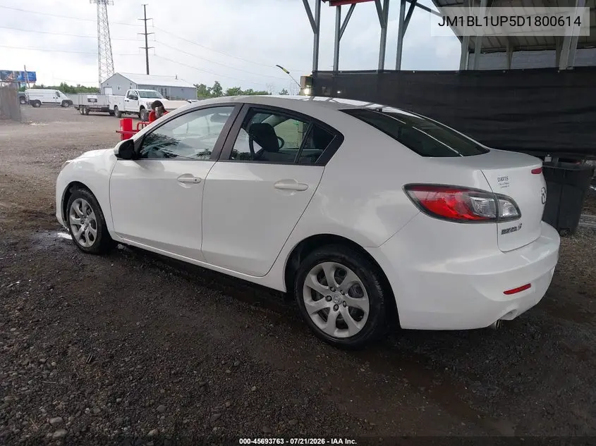 2013 Mazda Mazda3 I Sport VIN: JM1BL1UP5D1800614 Lot: 45693763