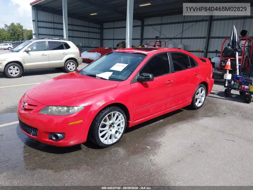 2006 Mazda Mazda6 S Sport VIN: 1YVHP84D465M02829 Lot: 45232780