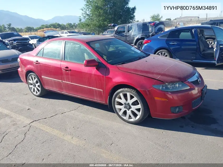 2006 Mazda Mazda6 S Grand Touring VIN: 1YVHP80D765M34891 Lot: 45390869
