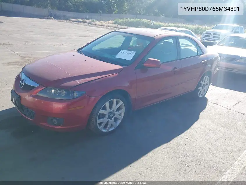 2006 Mazda Mazda6 S Grand Touring VIN: 1YVHP80D765M34891 Lot: 45390869
