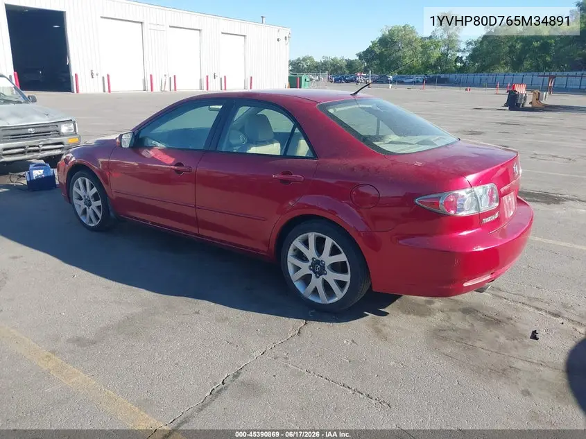 2006 Mazda Mazda6 S Grand Touring VIN: 1YVHP80D765M34891 Lot: 45390869