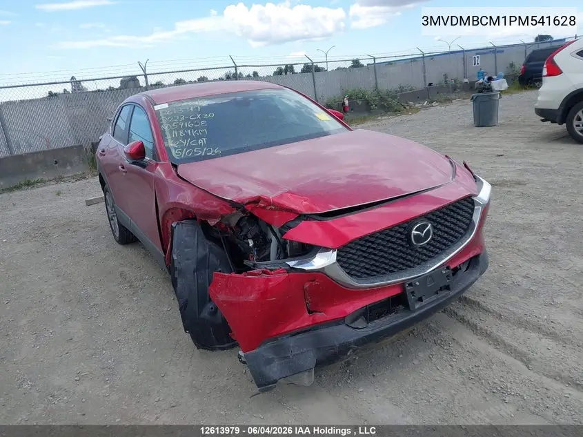 2023 Mazda Cx-30 Gs VIN: 3MVDMBCM1PM541628 Lot: 12613979