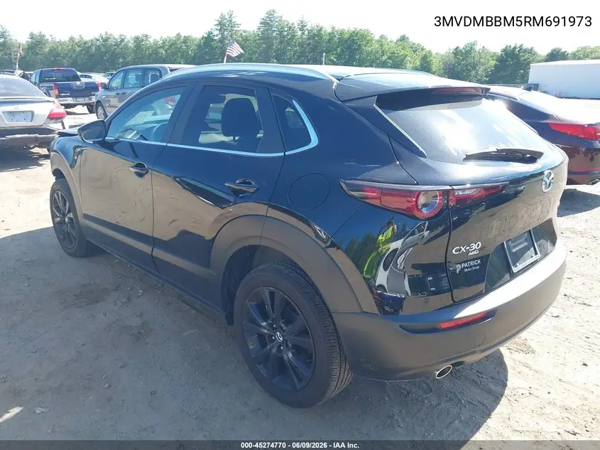 2024 Mazda Cx-30 2.5 S Select Sport VIN: 3MVDMBBM5RM691973 Lot: 45274770